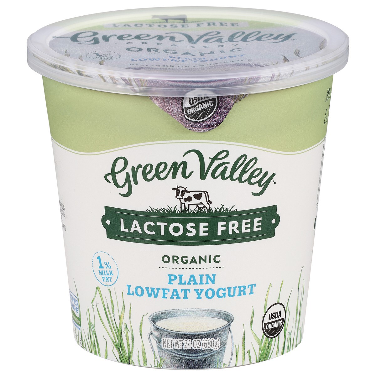 slide 1 of 10, Green Valley Organics Lactose Free Organic Plain Lowfat Yogurt 24 oz, 24 oz