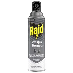 Raid Wasp and Hornet Aerosol Insecticides - 14oz
