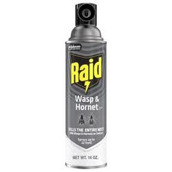 Raid Wasp and Hornet Aerosol Insecticides - 14oz
