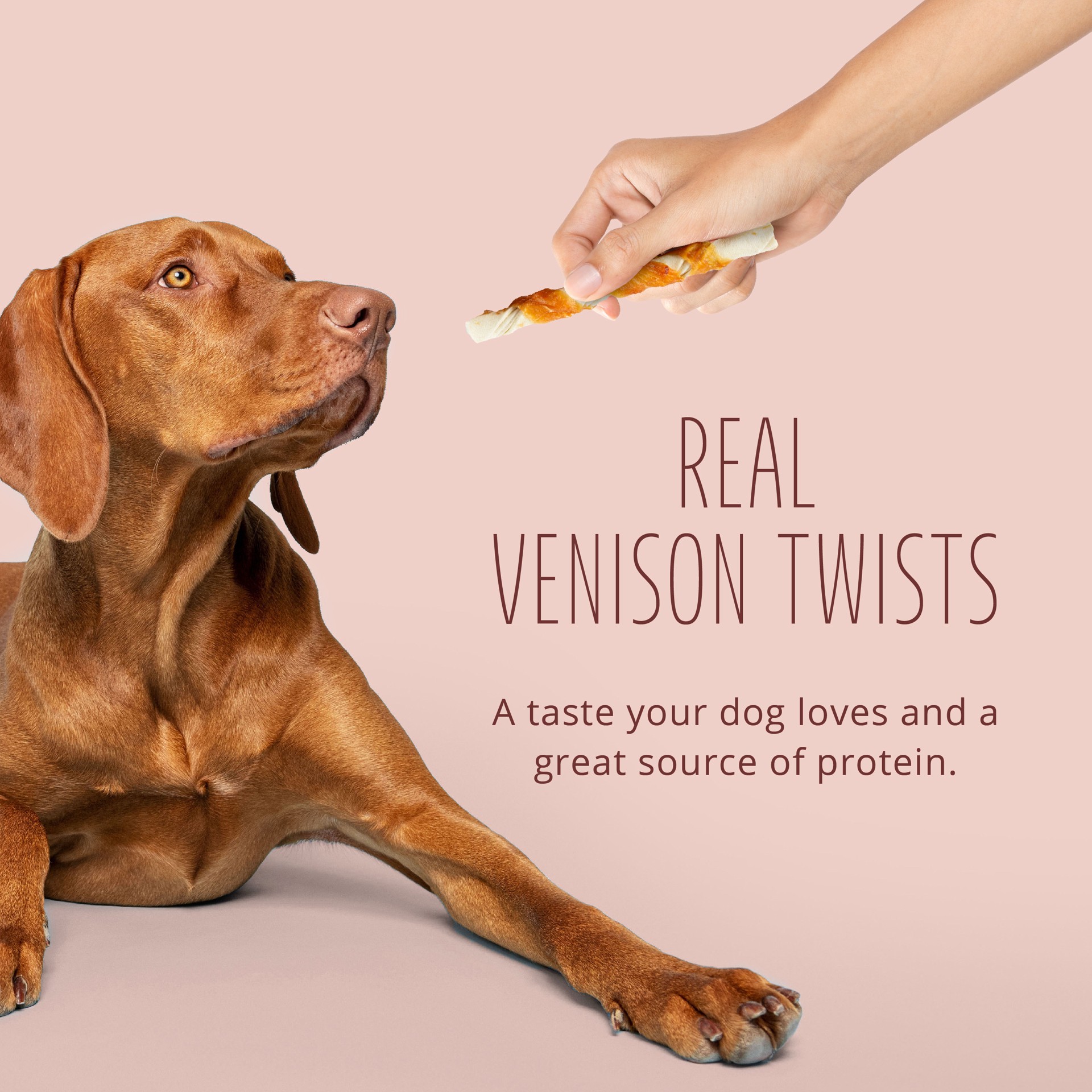 slide 7 of 10, Better Belly Proteins With Real Venison Twists 25 Count, Digestible Rawhide For Dogs, 0.61 lb