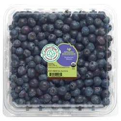 Naturipe Farms Organic Blueberries 18 oz