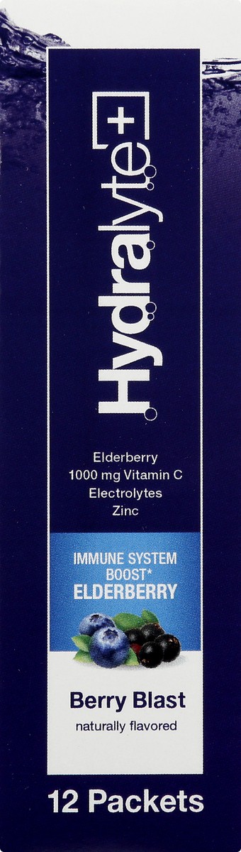 slide 9 of 9, Hydralyte Berry Blast Electrolyte Powder 12 ea, 12 ct