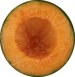 Cantaloupe Half