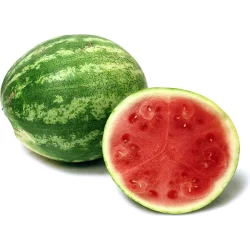 Organic Seedless Watermelon
