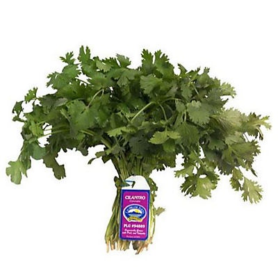 slide 1 of 1, Organic Cilantro, 1 ct