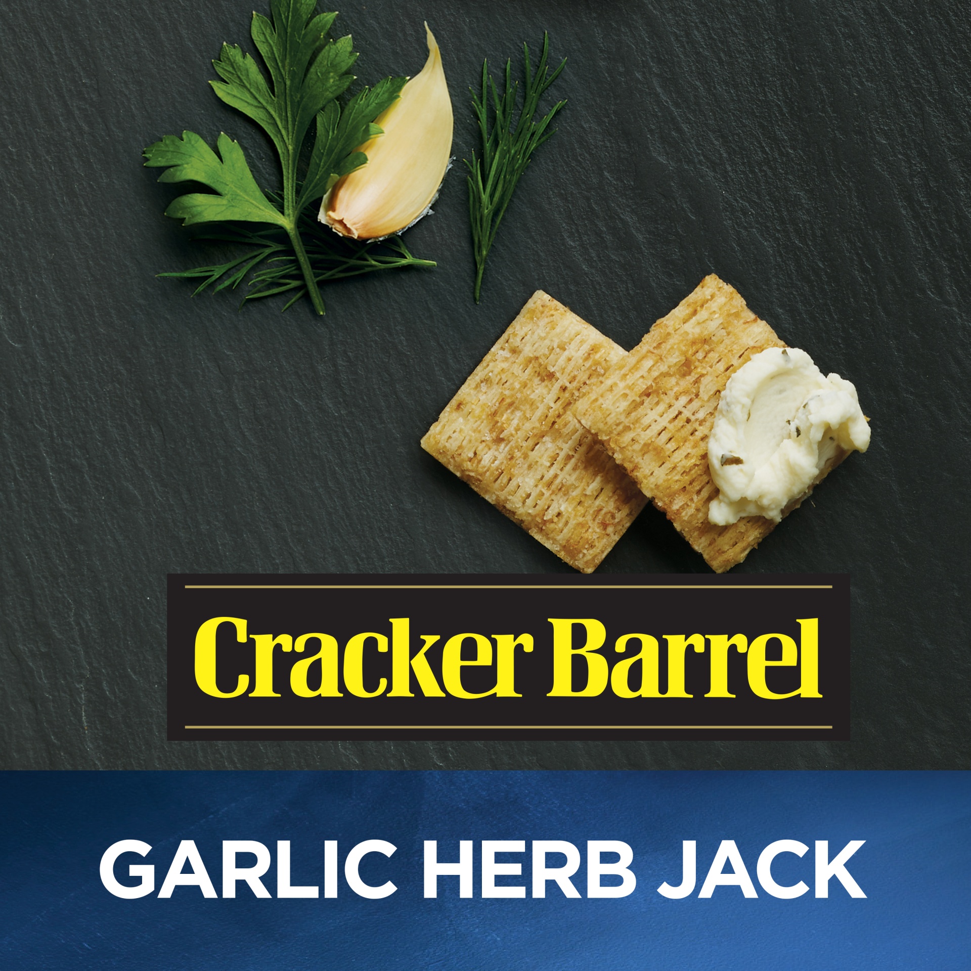 Cracker Barrel Garlic Herb Jack Cheese Dip And Crackers 2.75 oz Shipt