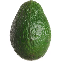 Avocado Slim Florida