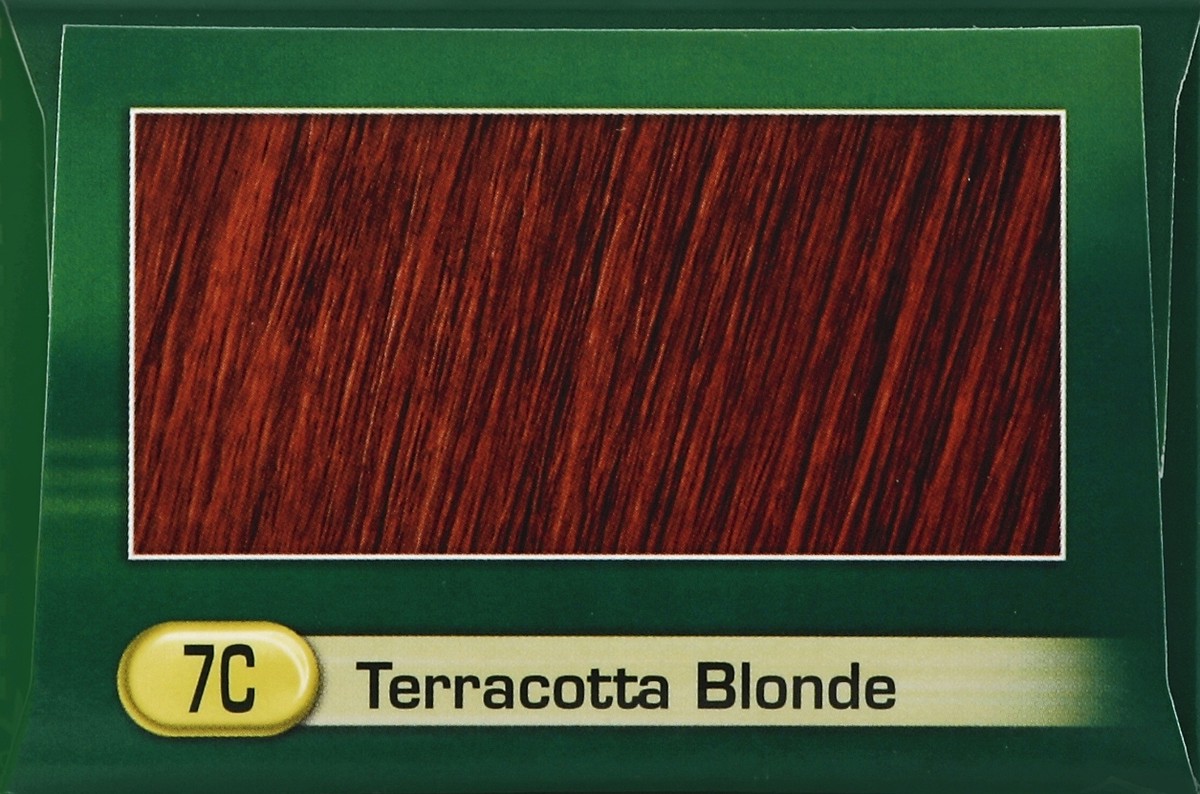 slide 4 of 5, Naturtint Hair Color Terracotta Blonde, 1 ct