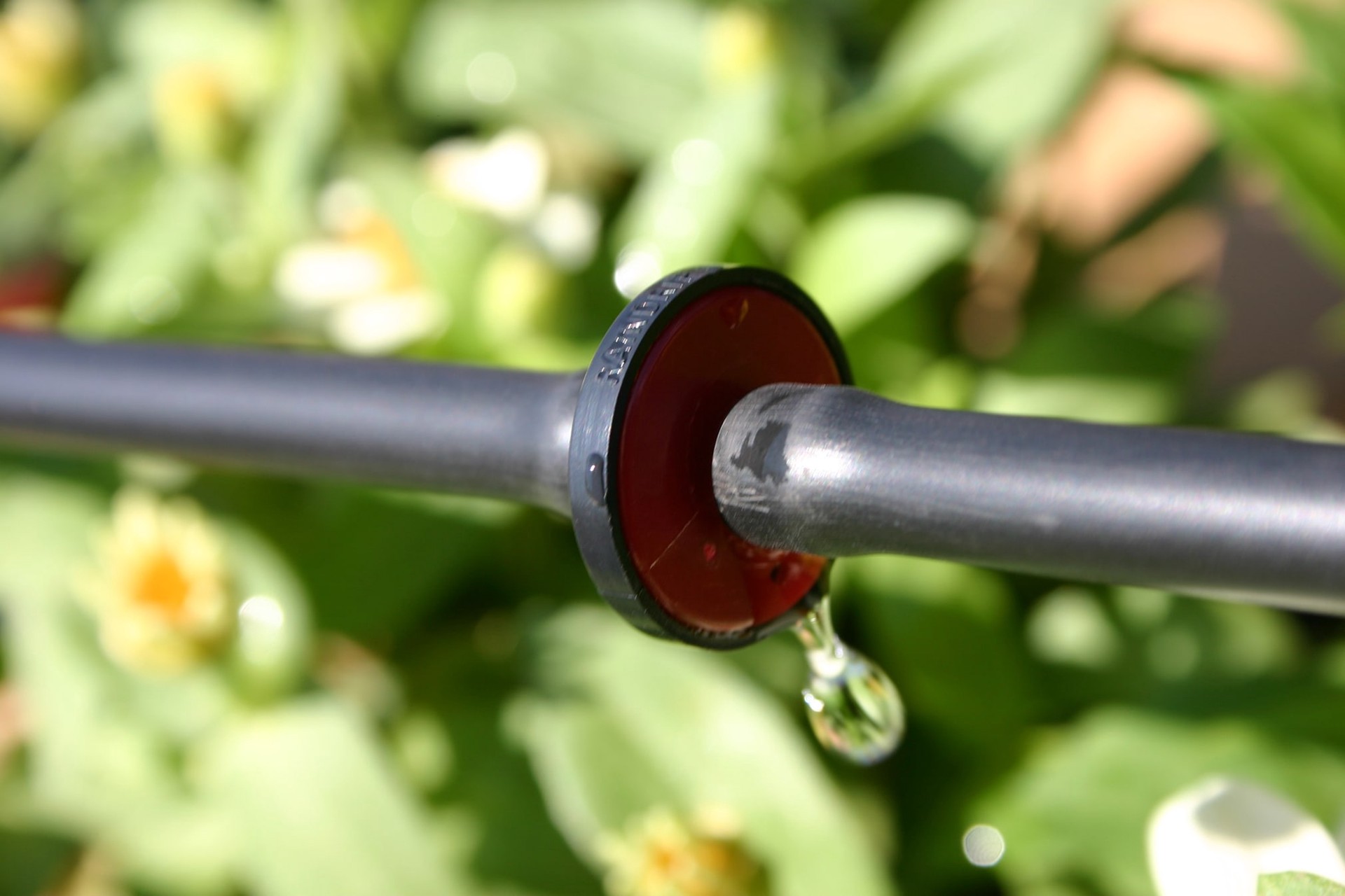 slide 2 of 5, Mister Landscaper 0.5 GPH Drip Irrigation Dripper 5 -Pack, 1 ct