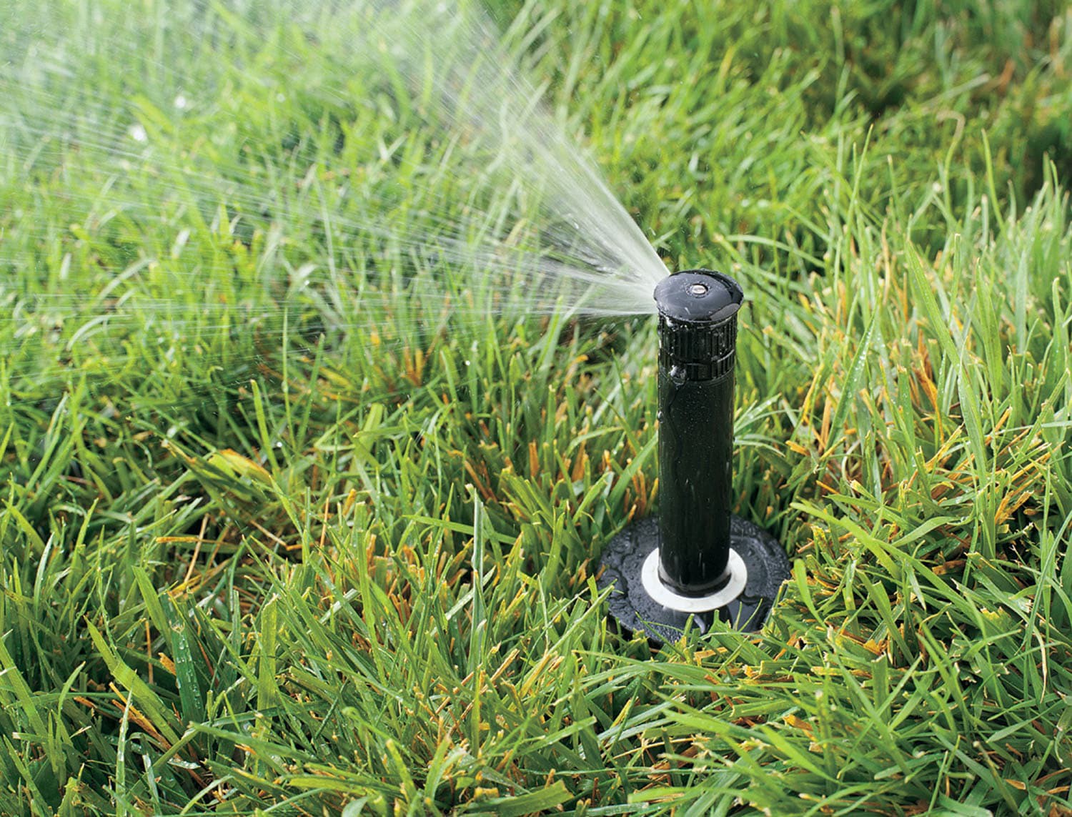 slide 5 of 6, Rain Bird 8-ft - 15-ft Quarter-circle Spray 4-in Pop-up spray head sprinkler, 1 ct