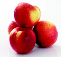 Fresh Sweetango Apples