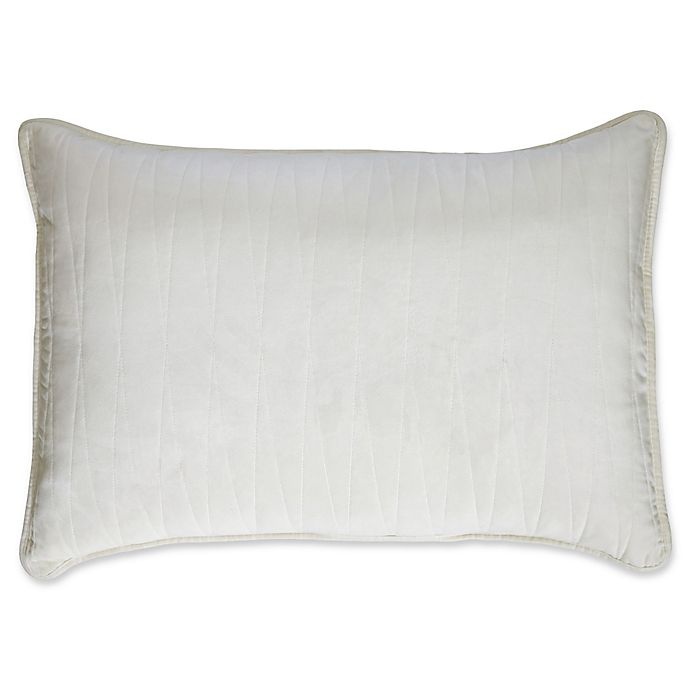slide 1 of 1, Brielle Velvet King Pillow Shams - White, 2 ct