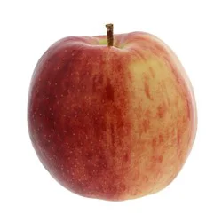 Fresh Jonagold Apple
