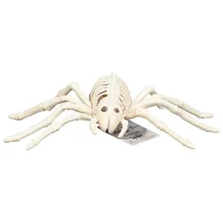 Sea Mini Skeleton Spider - EA