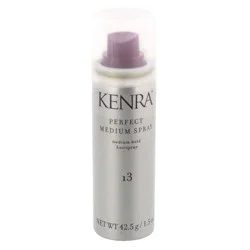 Kenra Perfect Medium Hold Hair Spray