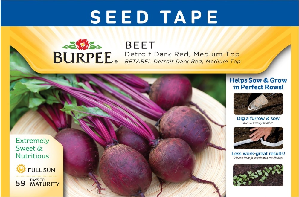 slide 1 of 1, Burpee Detroit Dark Red Medium Top Beet Seeds, 1 ct