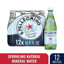 S. Pellegrino Sparkling Natural Mineral Water - 12-16.9 Fl. Oz.