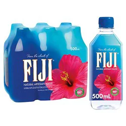 Fiji Natural Artesian Bottled Water - 6-16.9 Fl. Oz.