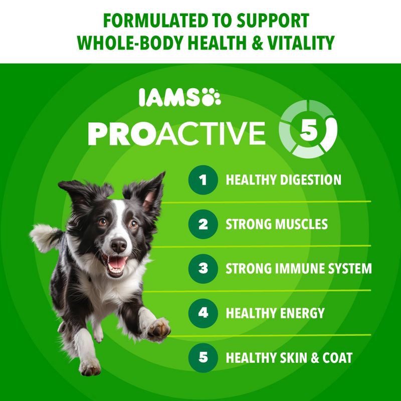 slide 2 of 13, IAMS Proactive Health Chicken and Whole Grain Flavor Minichunks Dry Dog Food - 15lbs, 15 lb