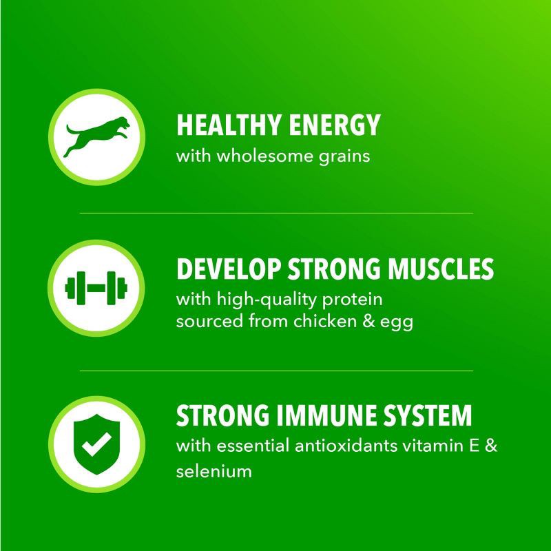 slide 5 of 13, IAMS Proactive Health Chicken and Whole Grain Flavor Minichunks Dry Dog Food - 15lbs, 15 lb