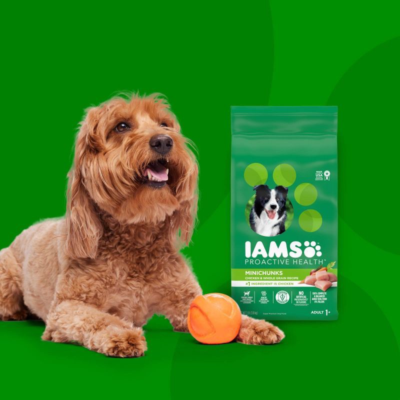 slide 7 of 10, IAMS Proactive Health High Protein Minichunks Chicken & Whole Grains Recipe Adult Premium Dry Dog Food - 15lbs, 15 lb