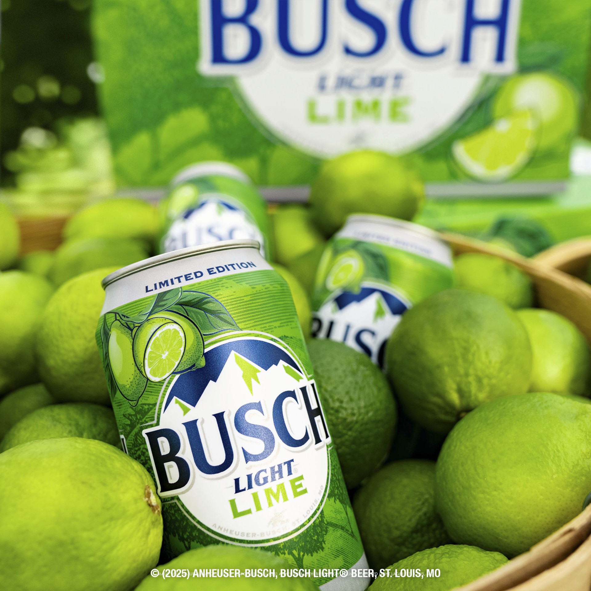 slide 5 of 6, Busch Light Lime American Lager Beer 12 fl oz Can, 12 fl oz