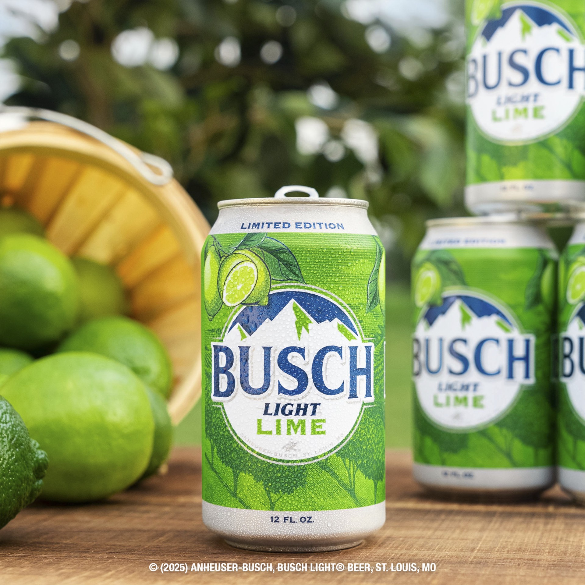 slide 3 of 6, Busch Light Lime American Lager Beer 12 fl oz Can, 12 fl oz