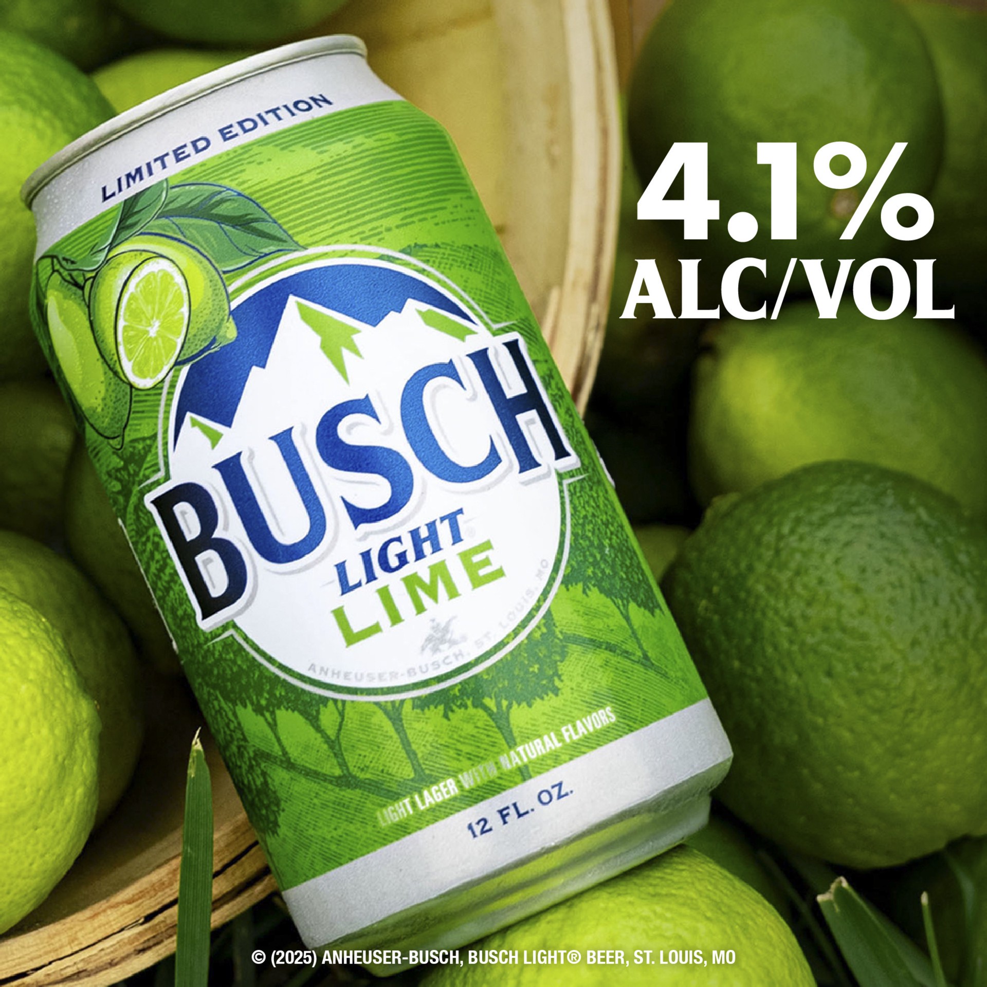 slide 4 of 6, Busch Light Lime American Lager Beer 12 fl oz Can, 12 fl oz