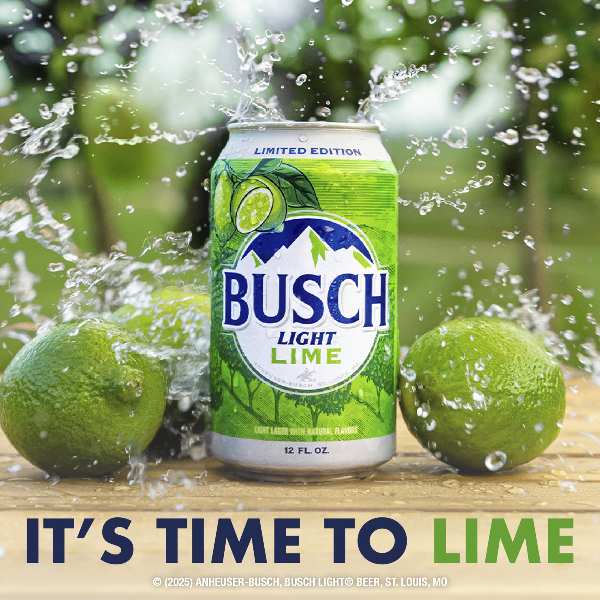 slide 6 of 6, Busch Light Lime American Lager Beer 12 fl oz Can, 12 fl oz