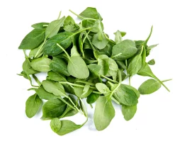 Hormel Produce Baby Leaf Spinach