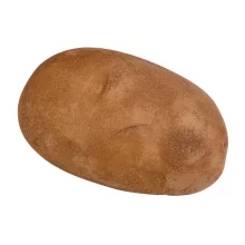 Russet Potato