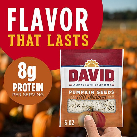 slide 1 of 1, David Roasted And Salted Pumpkin Seeds - 5 Oz, 5 oz