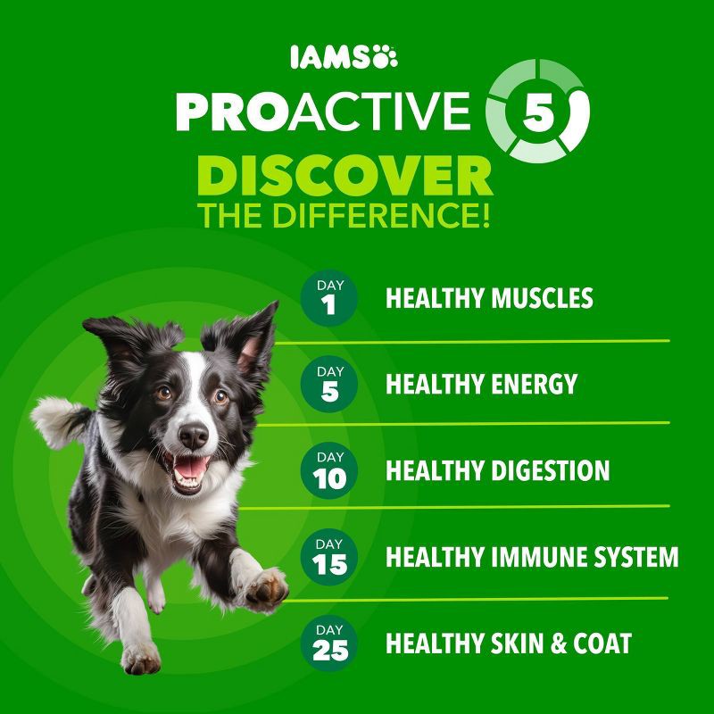 slide 3 of 11, IAMS Proactive Health Chicken and Whole Grain Flavor Minichunks Dry Dog Food - 7lbs, 7 lb