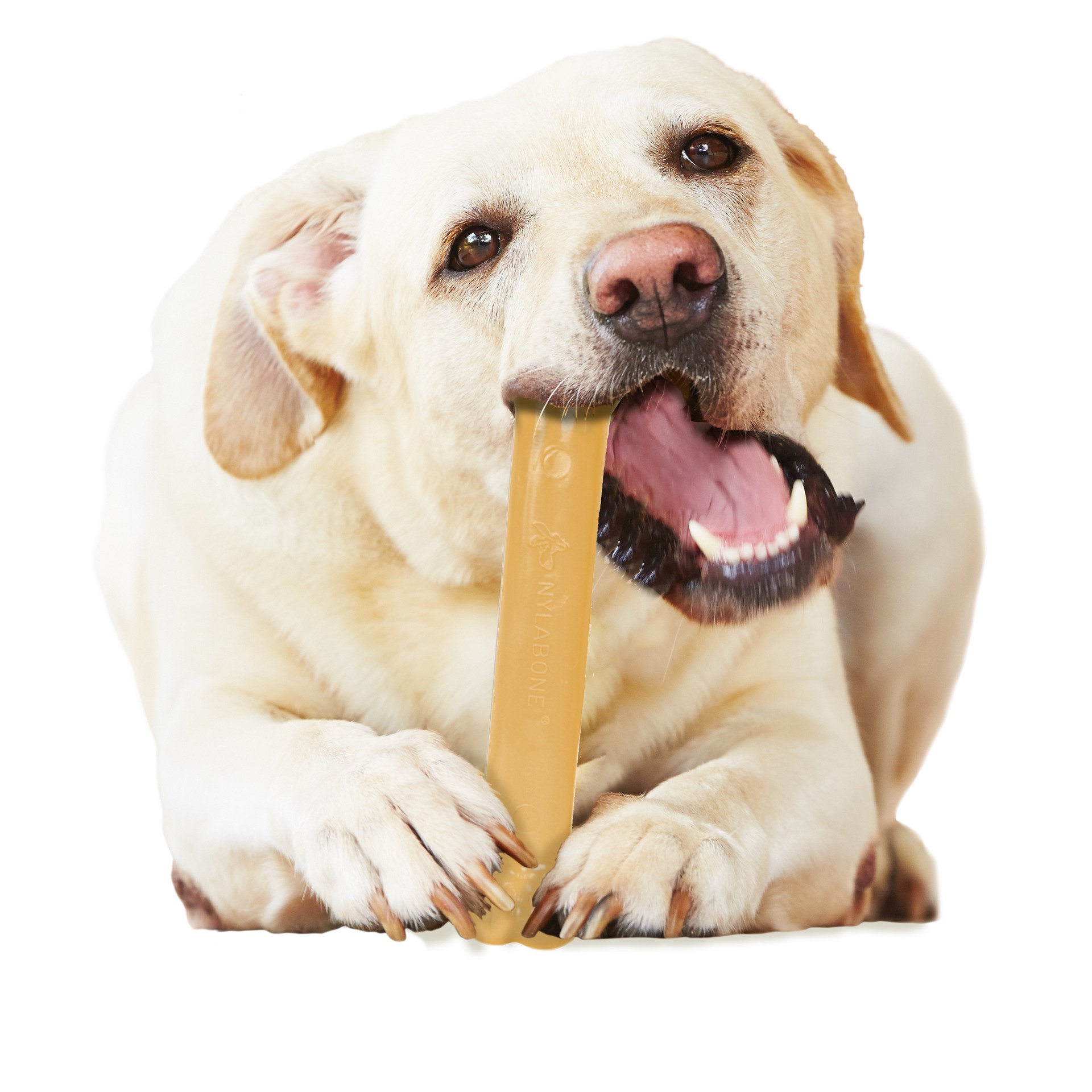 slide 10 of 10, Nylabone Power Chew Dog Toy Peanut Butter Large/Giant - Up to 50 lbs.(1 Count), 3.8 oz; MED