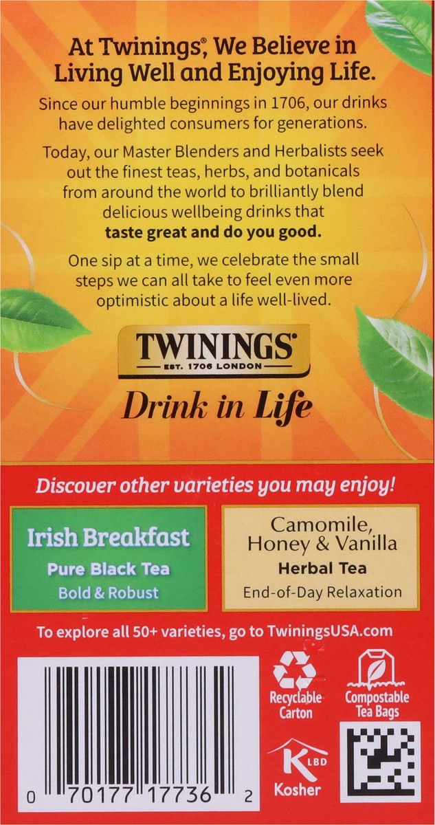 slide 4 of 9, Twinings Extra Bold Tea Eng Brekfast - 20 ct, 20 ct