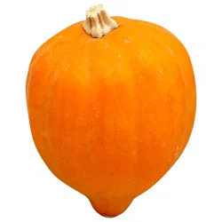 Golden Acorn Squash