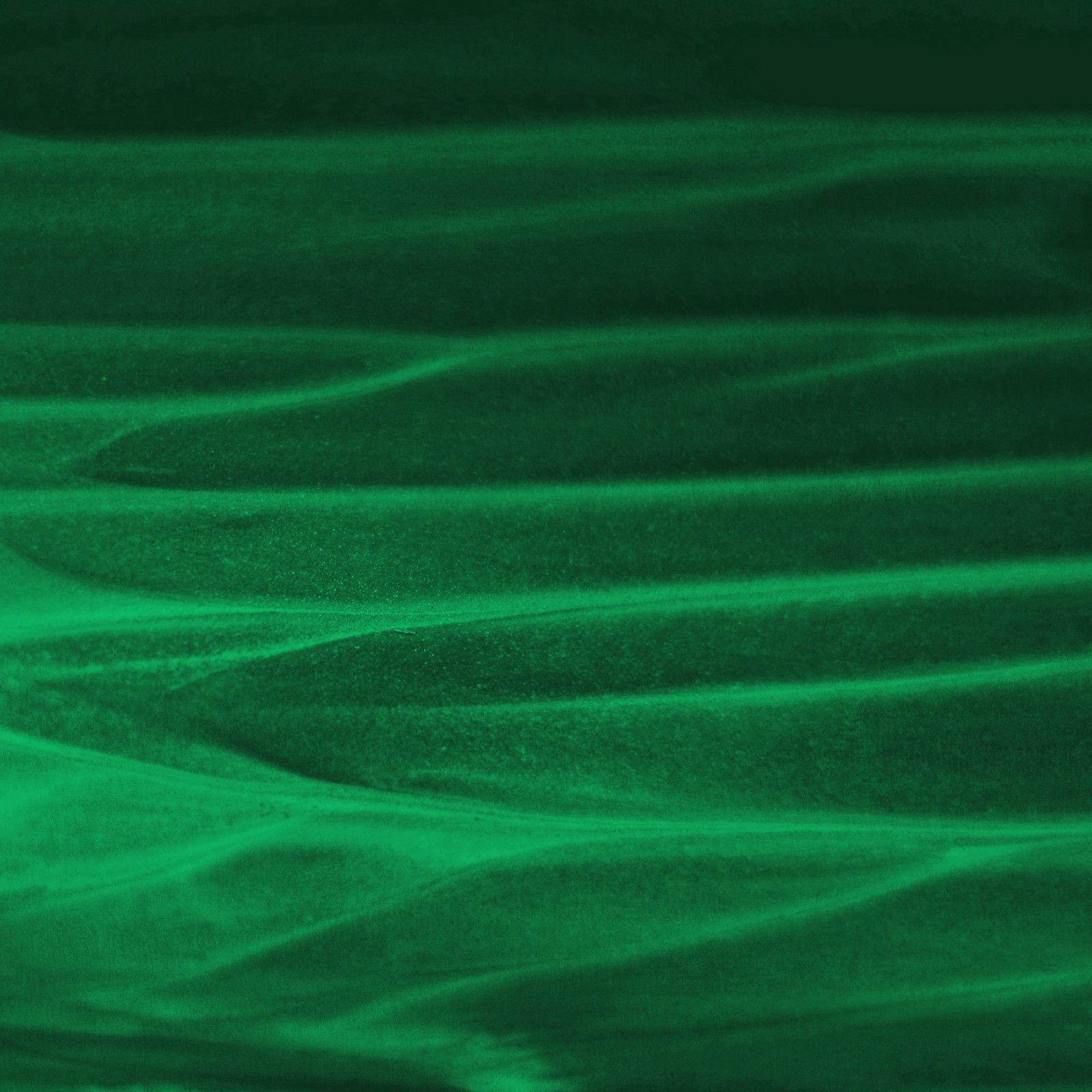 slide 3 of 3, Darice Rich Art Tempera Liquid Paint Green, 16 oz