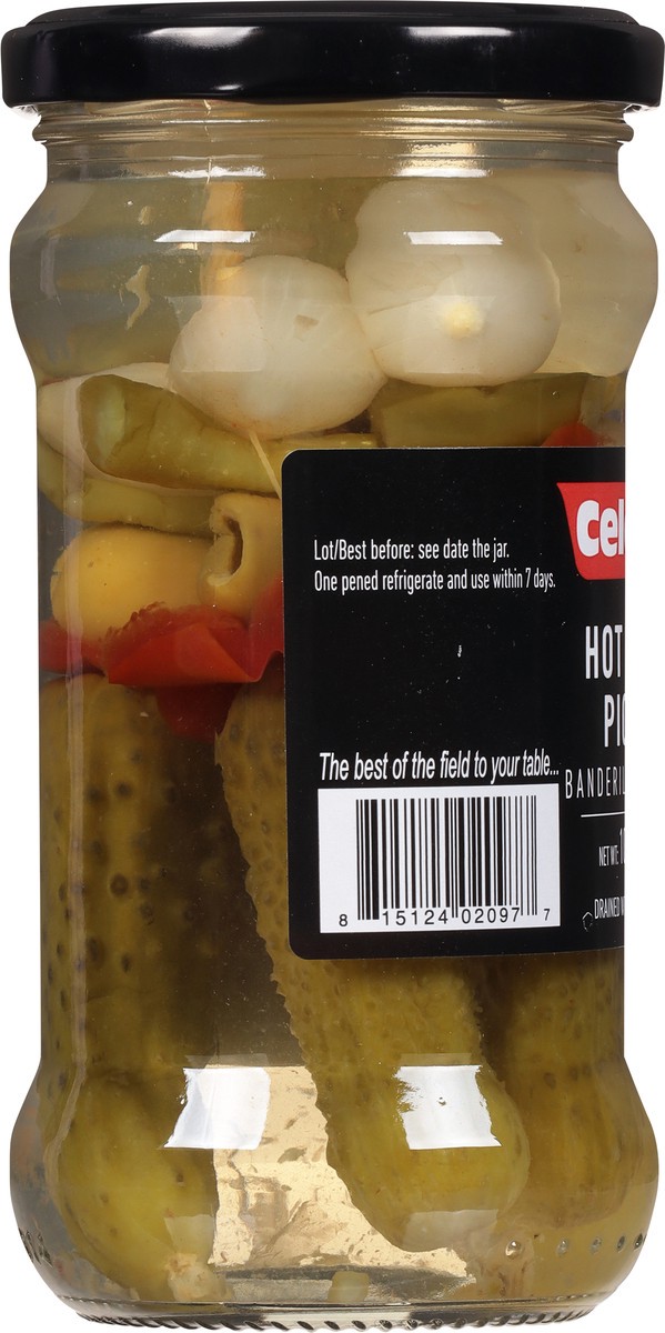 slide 2 of 9, Celorrio Hot Mixed Pickles 10.5 oz, 10.5 oz