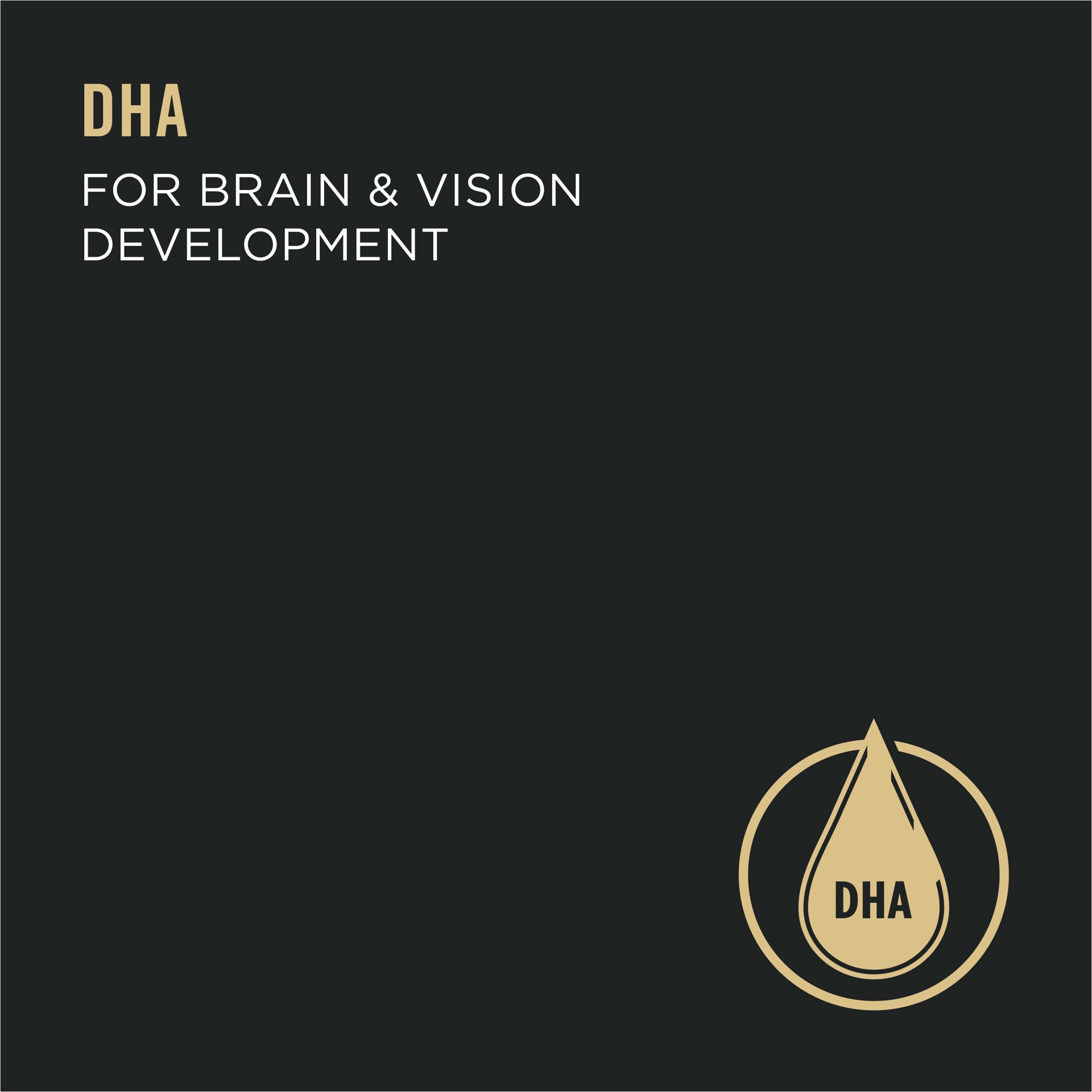 slide 6 of 9, Purina Pro Plan Sport High Protein Wet Puppy Food Beef and Rice Entree and Chicken and Rice Entree Variety Pack, 9.75 lb