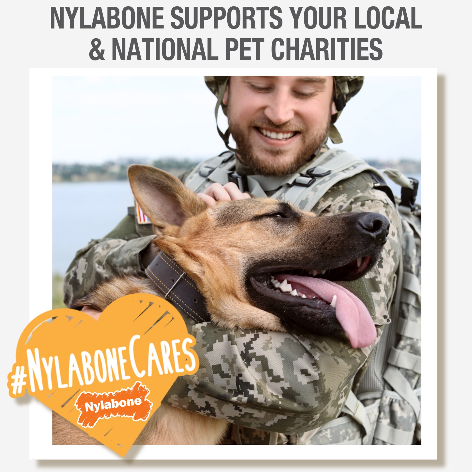 slide 8 of 10, Nylabone Healthy Edibles WILD Natural Long Lasting Bison Dog Chew Treats Small/Regular - Up to 25 Ibs.(16 Count), 11.2 oz