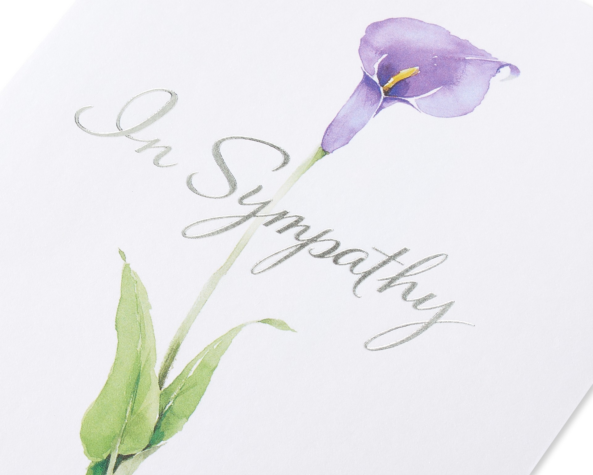 slide 5 of 5, American Greetings Sympathy Card (Flower), 1 ct