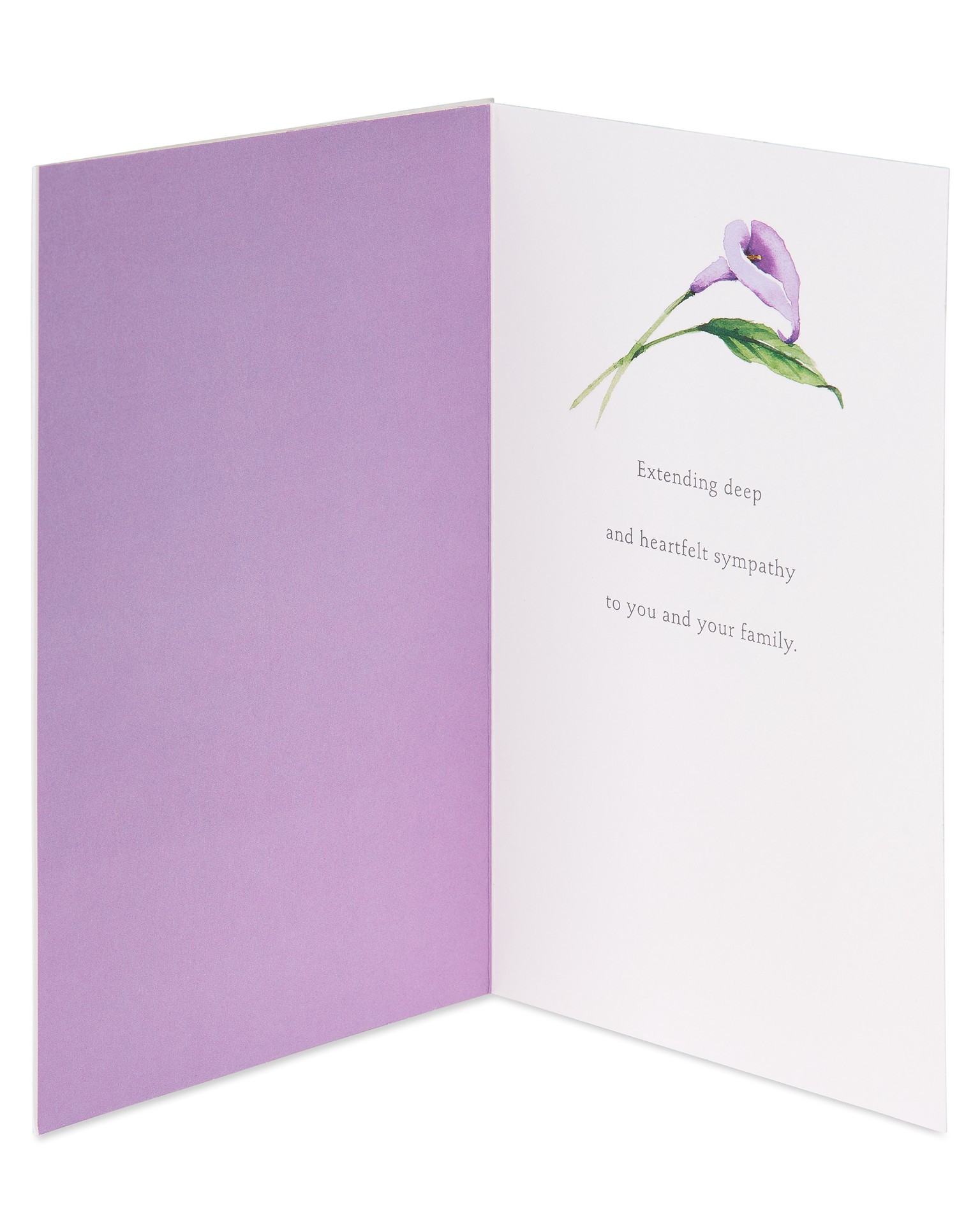 slide 2 of 5, American Greetings Sympathy Card (Flower), 1 ct