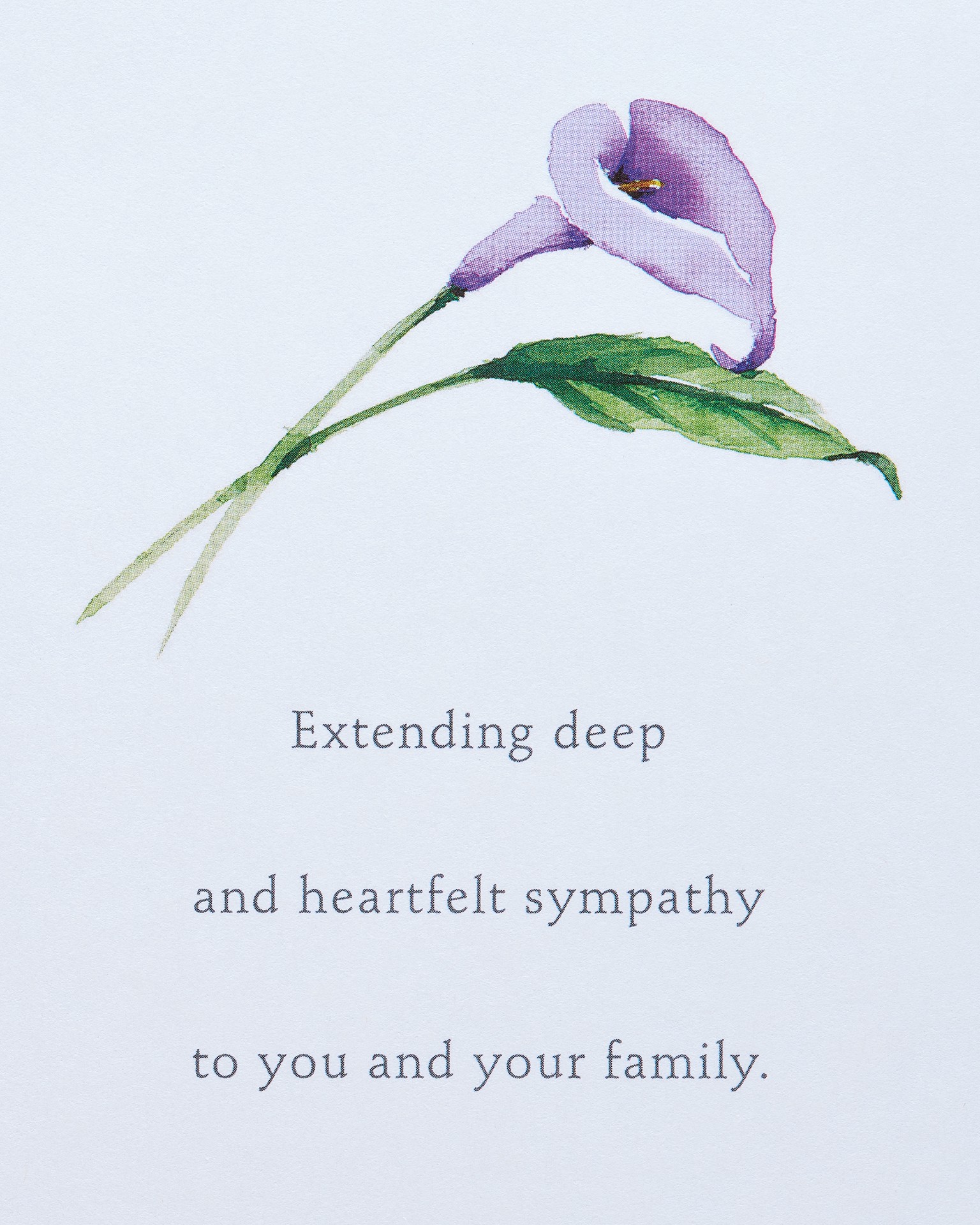 slide 3 of 5, American Greetings Sympathy Card (Flower), 1 ct
