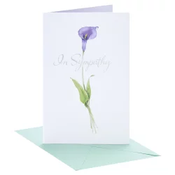American Greetings Sympathy Card (Flower)