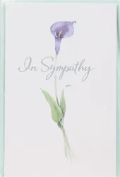 American Greetings In Sympathy Greeting Card 1 ea