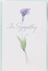 American Greetings In Sympathy Greeting Card 1 ea