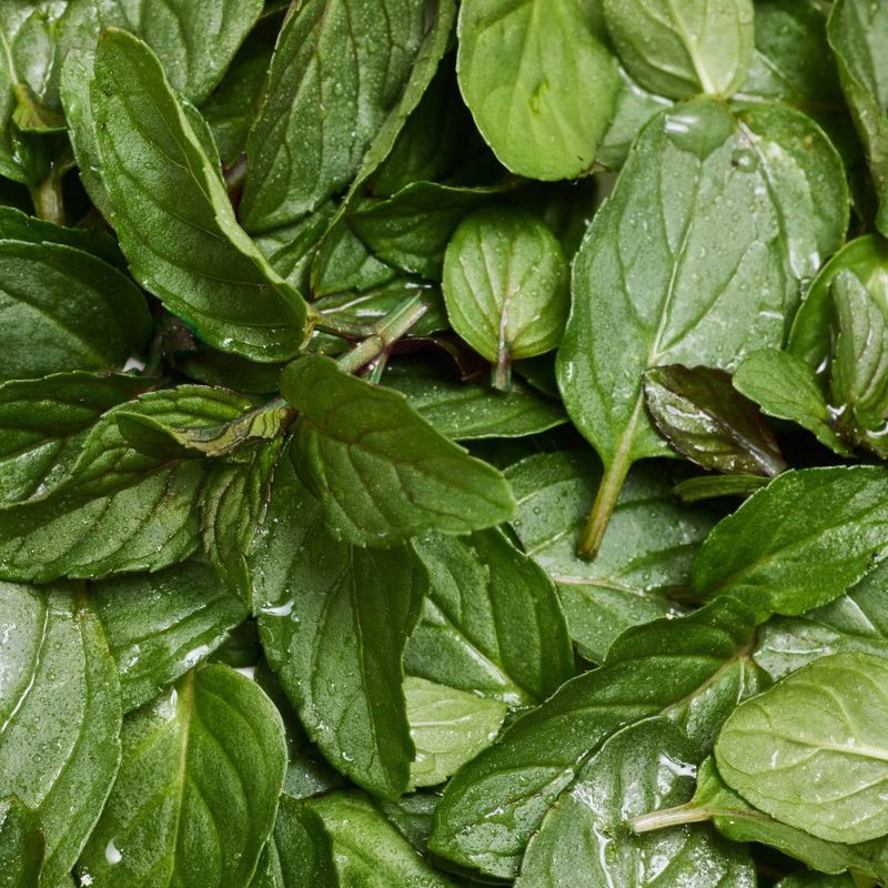 slide 7 of 7, Dr. Bronner's All-One Pure-Castile Magic Bar Soap - Peppermint - 5oz, 5 oz