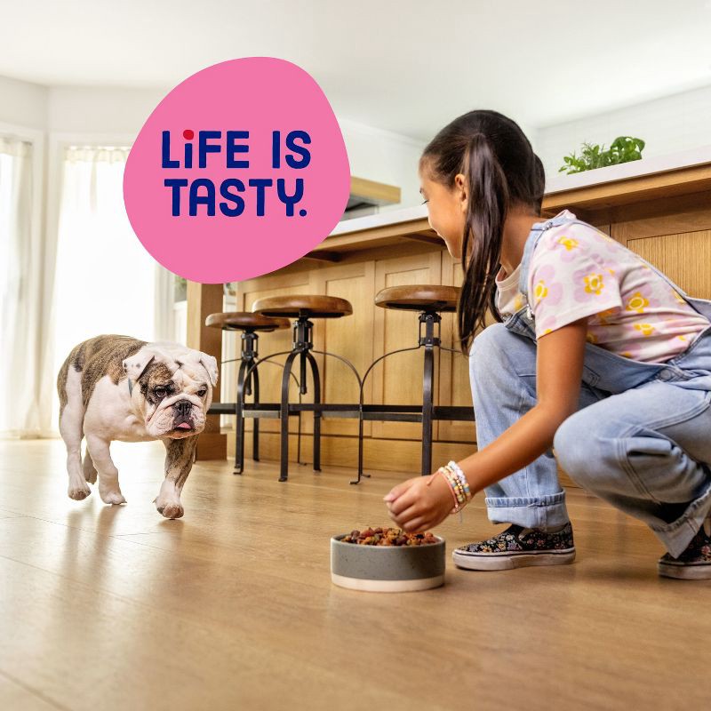 slide 6 of 9, Kibbles 'n Bits Mini Bits Savory Beef & Chicken Flavors Small Breed Complete & Balanced Dry Dog Food - 3.5lbs, 3.5 lb