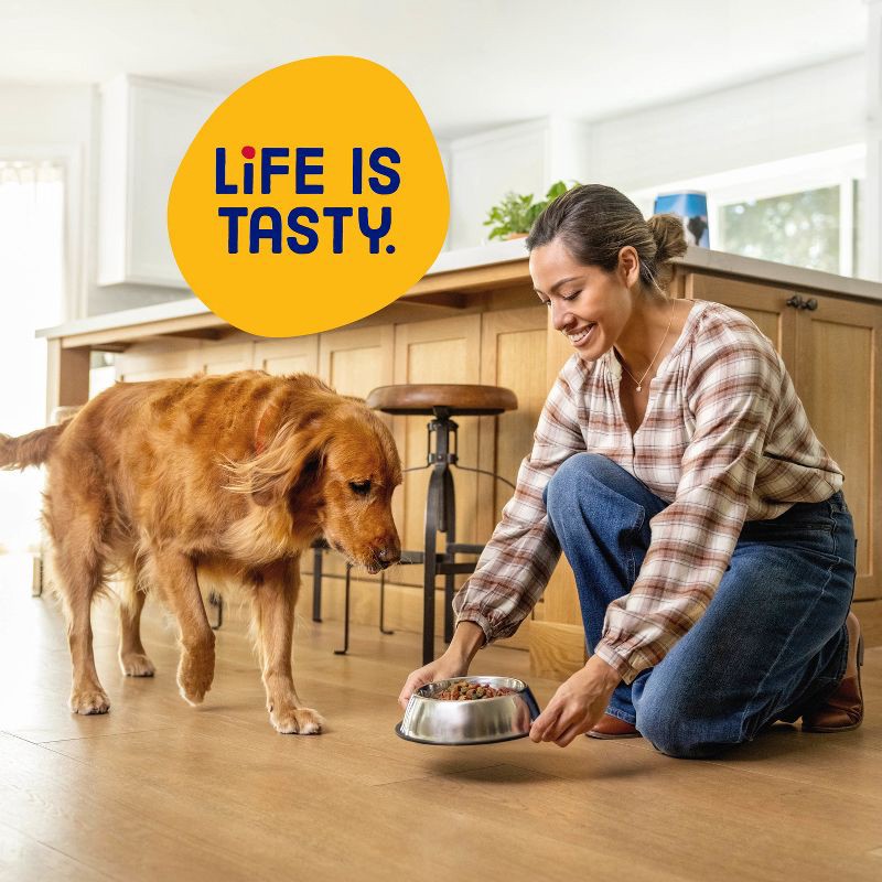 slide 6 of 10, Kibbles 'n Bits Original Savory Beef & Chicken Flavors Adult Complete & Balanced Dry Dog Food - 16lbs, 16 lb