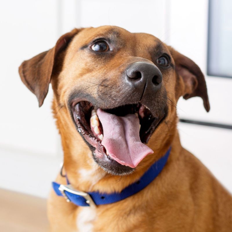 slide 10 of 10, Kibbles 'n Bits Original Savory Beef & Chicken Flavors Adult Complete & Balanced Dry Dog Food - 16lbs, 16 lb